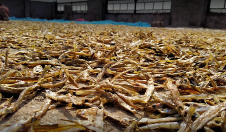 Asia's largest Dry Fish Market - Morigaon Image