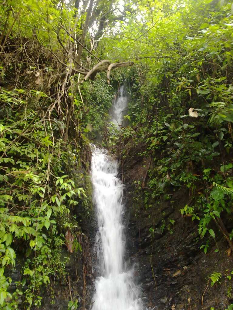 Phek Waterfall - Phek Image