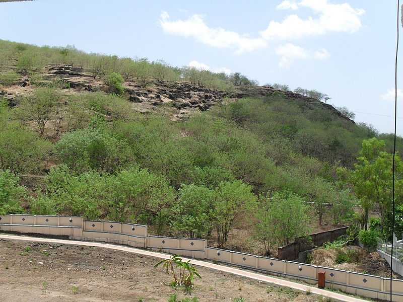 Baner Pashan Biodiversity Park - Pune Image