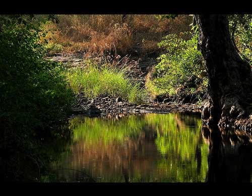 Melghat Tiger Reserve - Chikhaldara Image