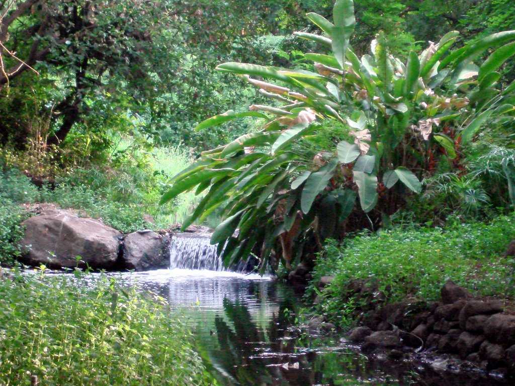 Osho Ashram - Pune Image