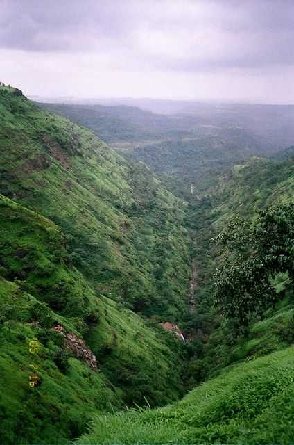 Camel Valley - Igatpuri Image