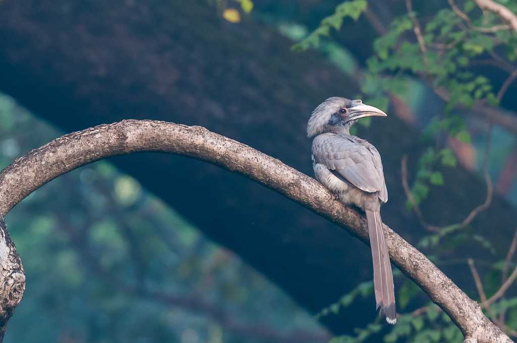 Empress Garden - Pune Image