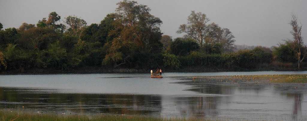 Erai Dam - Tadoba Image