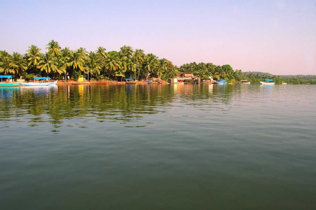 Karli Backwaters - Tarkarli Image