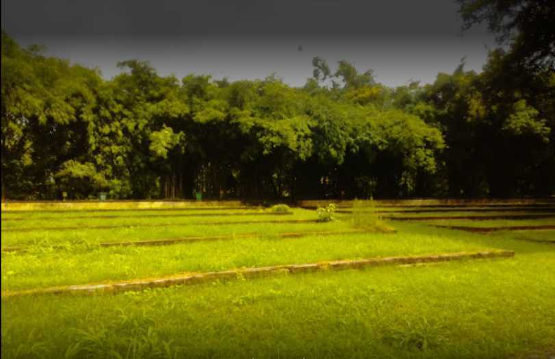 Maharashtra Nature Park - Mumbai Image