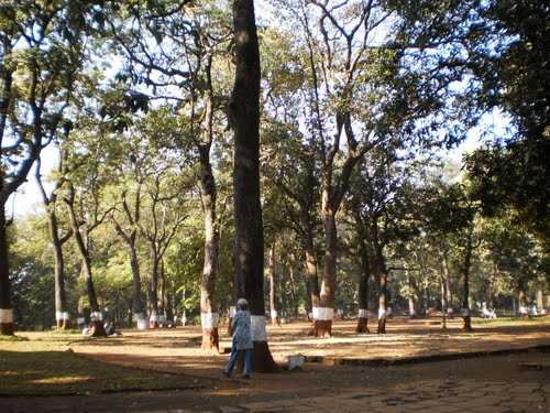 Ryewood Park - Lonavala Image