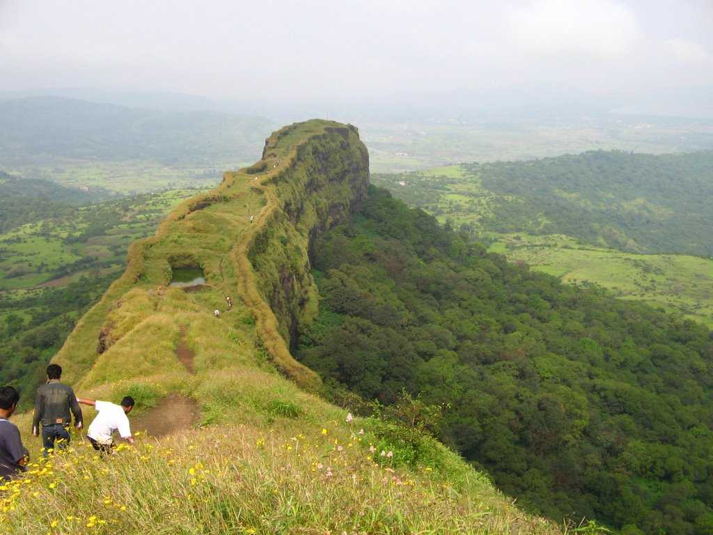 Scorpion'S Sting - Lonavala Image