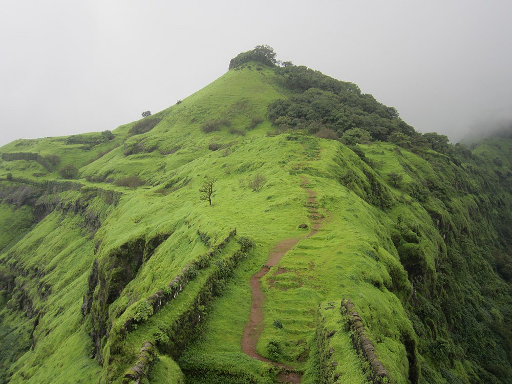 Rajgad Trek - Pune Image