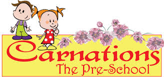 Carnations - Kamothe - Navi Mumbai Image