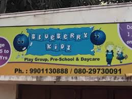 Blueberry Kidz - Kalyan Nagar - Bangalore Image