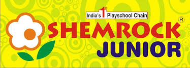 Shemrock Junior - Paschim Vihar - New Delhi Image