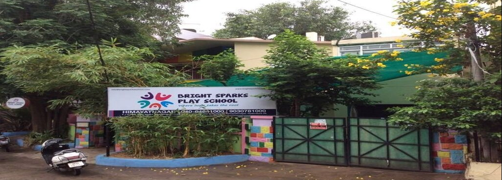Little Bird Play School - Himayath Nagar - Hyderabad Image