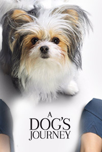 A Dogs Journey Image