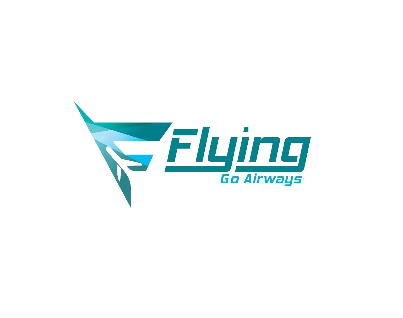 Flying Go Airways Travels Private Limited - Delhi Image