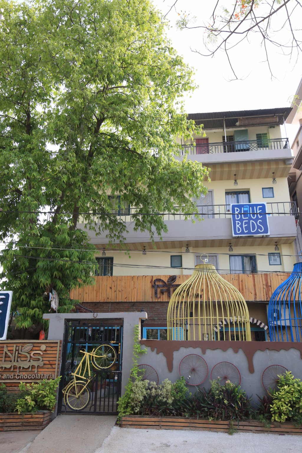 Blue Beds - Jaipur Image
