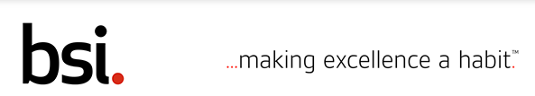 BSI Group Image