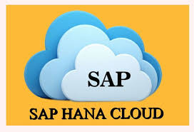 SAP HANA Cloud Platform Image