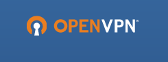 OpenVPN Access Server Image