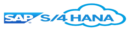 SAP S/4HANA Cloud Image