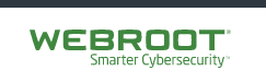 Webroot SecureAnywhere DNS Protection. Image