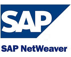 SAP NetWeaver Image