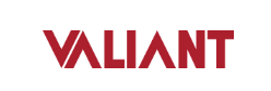 Valiant Payroll Processing Image