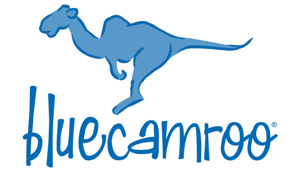 BlueCamroo Image