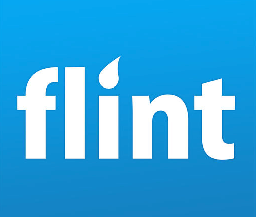 Flint Mobile Payments Image