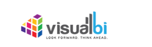 Visual BI Platform Image