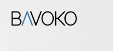 BAVOKO SEO Tools Image