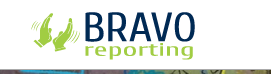 Bravo Reporting Image