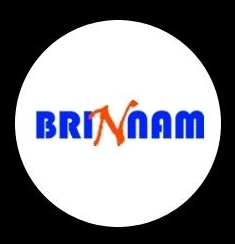 Brin Basic Image