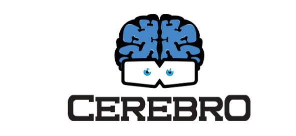 Cerebro Image