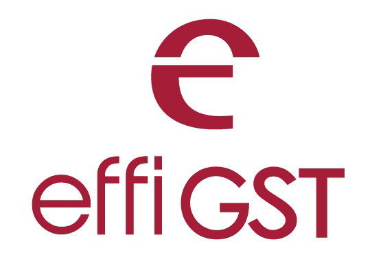 effiGST Image