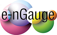 e-nGauge Image