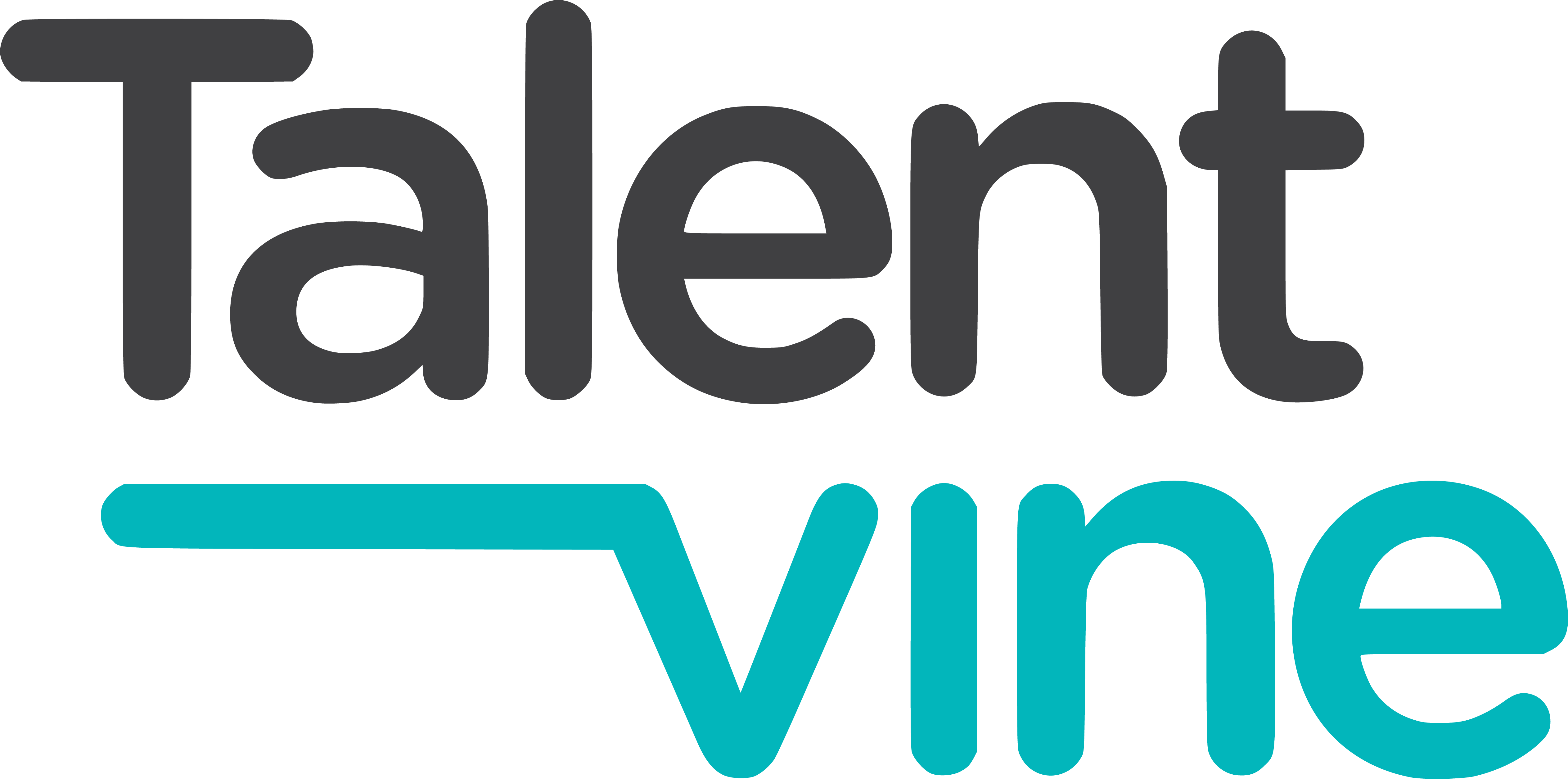 Talentvine Image