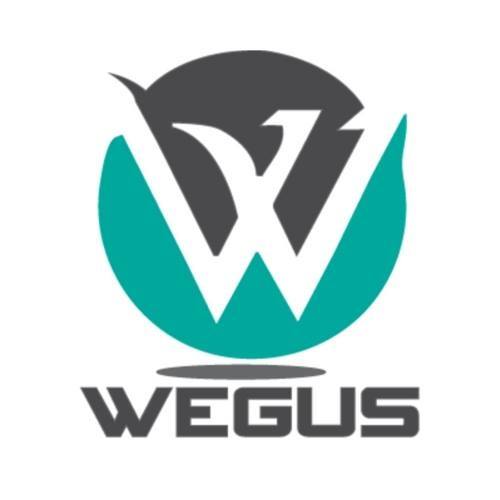 Wegus Infotech Image