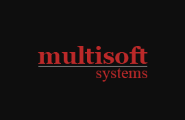 Multisoft Systems - Noida Image