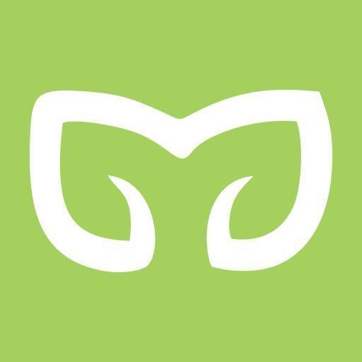 Mint Social Media Image