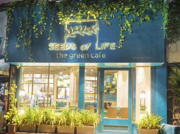 Seeds Of Life - Bandra West - Mumbai Image