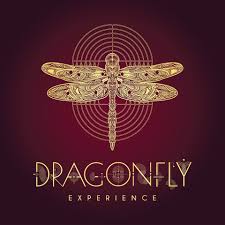 Dragonfly Experience - Aerocity - New Delhi Image