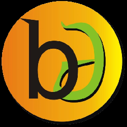 Bikash Digitech Image