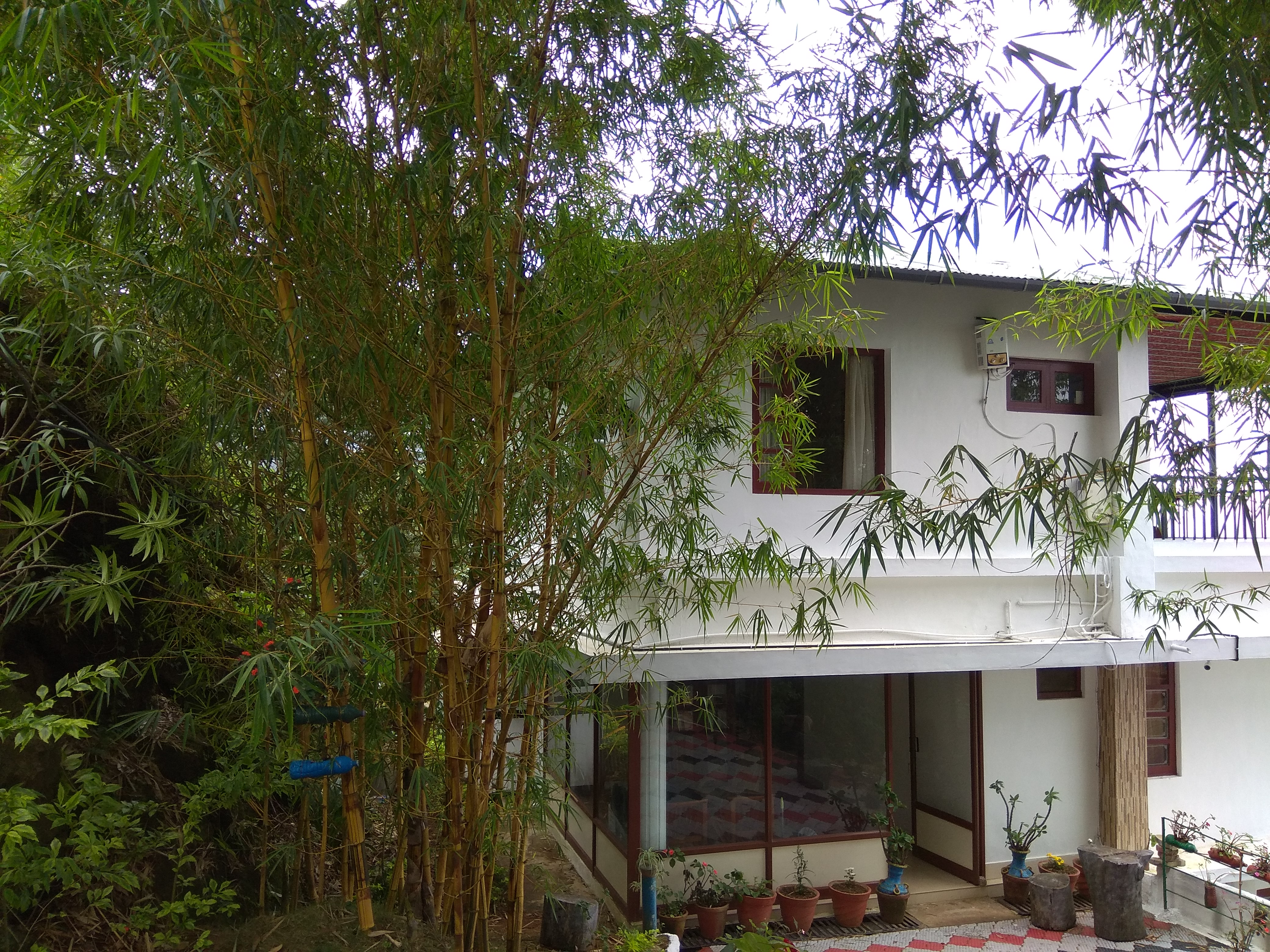 Green Magic Home - Munnar Image