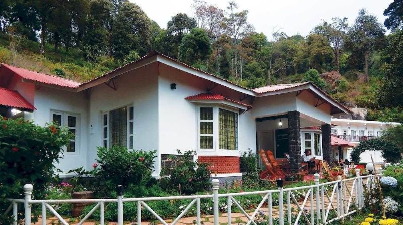 Olive Brook - Munnar Image