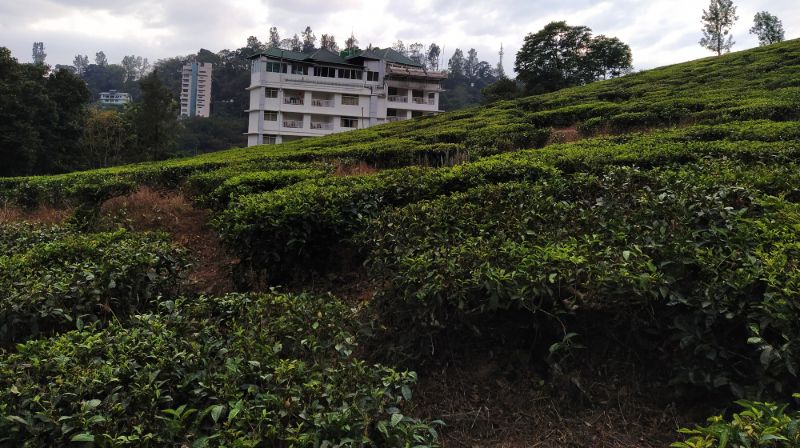 Monsoon Grande - Munnar Image