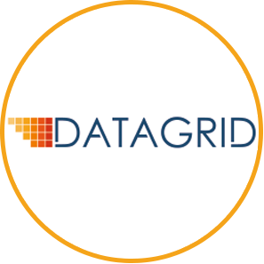 Datagrid Solutions Image