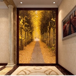 Wallpaper Imperial - Noida Image