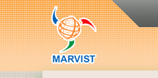 Marvist Consulting Image