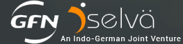 Dselva Image
